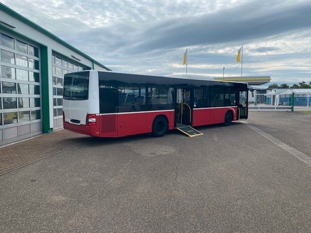 MAN A 21 Lions City KLIMA EURO 6 ZF EcoLife 2x - City bus: picture 4 MAN A 21 Lions City KLIMA EURO 6 ZF EcoLife 2x - City bus: picture 4