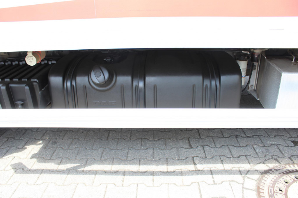 Daf LF 260 E6 Carrier Supra 550 Strom Tür LBW - Refrigerator truck: picture 4 Daf LF 260 E6 Carrier Supra 550 Strom Tür LBW - Refrigerator truck: picture 4