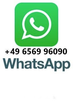 Leasing of Mercedes-Benz Actros 1832 MP 3 Mercedes-Benz Actros 1832 MP 3 Mercedes-Benz Actros 1832 MP 3 Mercedes-Benz Actros 1832 MP 3: picture 15