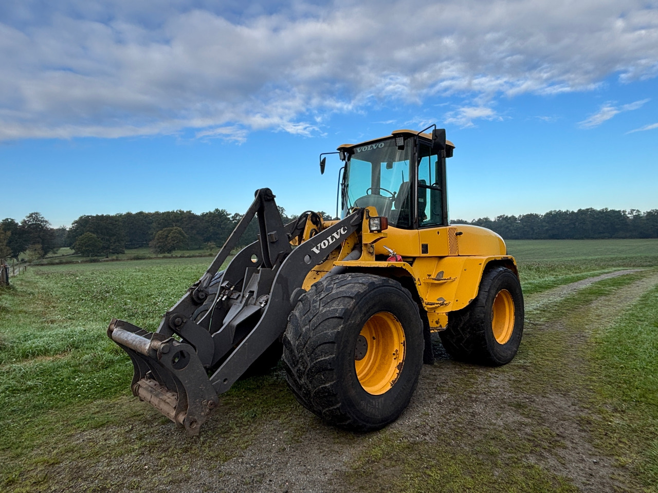 Volvo L45TP/S - Wheel loader: picture 1 Volvo L45TP/S - Wheel loader: picture 1