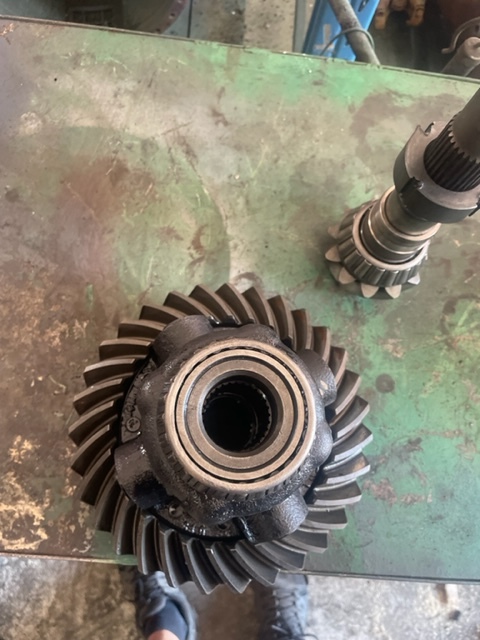 New holland LM atak talerz 11/31 , 11x31 , mechanizm róźnicowy , dyferencjał - Differential gear for Agricultural machinery: picture 4 New holland LM atak talerz 11/31 , 11x31 , mechanizm róźnicowy , dyferencjał - Differential gear for Agricultural machinery: picture 4