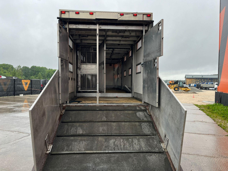 Livestock truck Scania G 480 6x2*4 BOX L=9212 mm / COOLANT LEAKAGE ON 3 RD CYLINDER: picture 11 Livestock truck Scania G 480 6x2*4 BOX L=9212 mm / COOLANT LEAKAGE ON 3 RD CYLINDER: picture 11