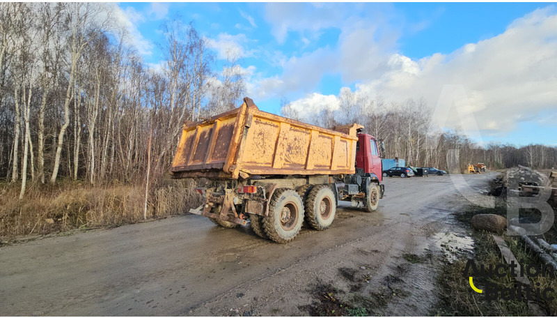 Maz 551669 - Tipper: picture 4 Maz 551669 - Tipper: picture 4