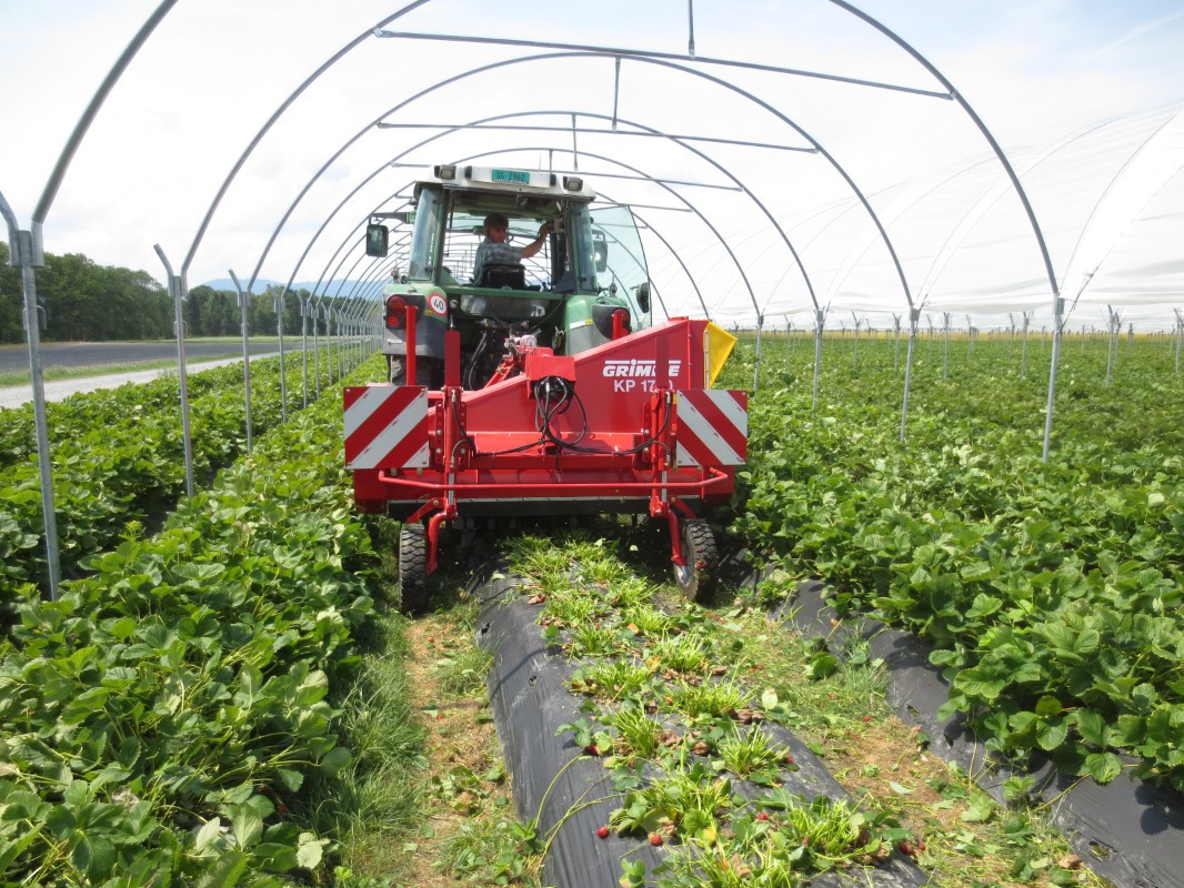 Grimme KP 1700 - Grape harvesting machine: picture 2 Grimme KP 1700 - Grape harvesting machine: picture 2
