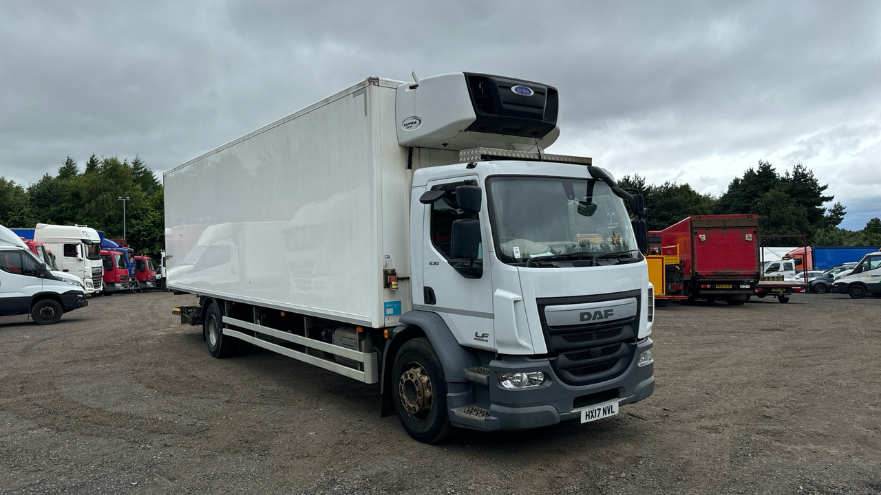 DAF LF 250 - Refrigerator truck: picture 1 DAF LF 250 - Refrigerator truck: picture 1