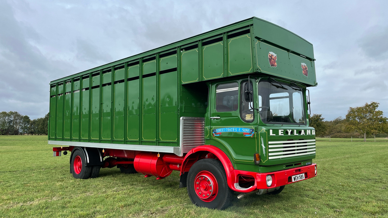 LEYLAND LYNX - Livestock truck: picture 1 LEYLAND LYNX - Livestock truck: picture 1