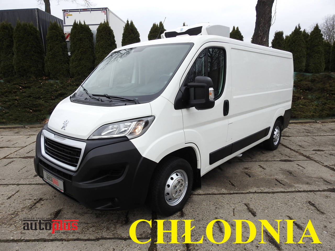 PEUGEOT BOXER REFRIGERATOR VAN -5*C TWO COMPARTMENTS CRUISE CONTROL AIR CONDITIONING 120HP - Refrigerated van: picture 1 PEUGEOT BOXER REFRIGERATOR VAN -5*C TWO COMPARTMENTS CRUISE CONTROL AIR CONDITIONING 120HP - Refrigerated van: picture 1
