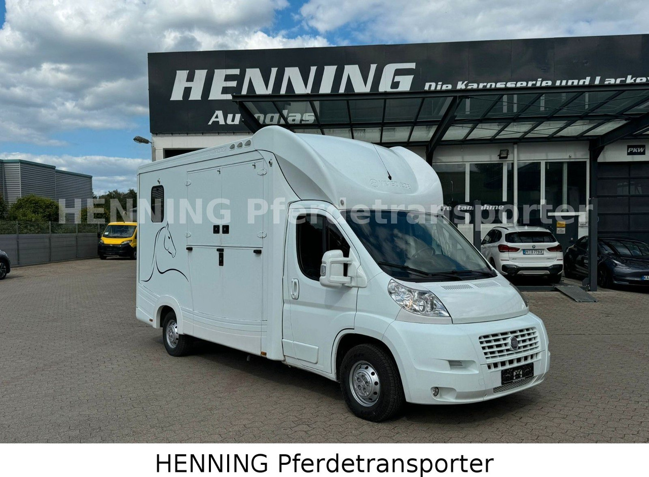 Fiat Ducato 3-Sitzer - Horse truck, Commercial vehicle: picture 1 Fiat Ducato 3-Sitzer - Horse truck, Commercial vehicle: picture 1