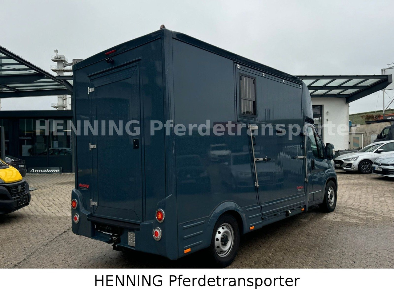 Fiat Ducato *AUTOMATIK* 3 - Sitzer - Livestock truck: picture 3 Fiat Ducato *AUTOMATIK* 3 - Sitzer - Livestock truck: picture 3