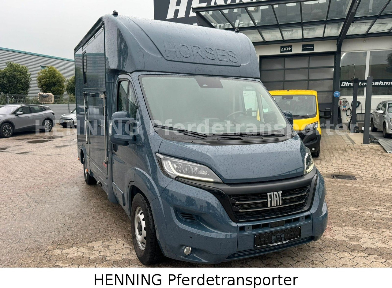Fiat Ducato *AUTOMATIK* 3 - Sitzer - Livestock truck: picture 2 Fiat Ducato *AUTOMATIK* 3 - Sitzer - Livestock truck: picture 2