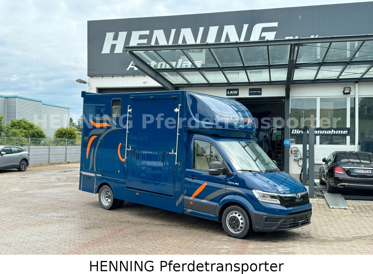 MAN TGE 5.500kg Gesamtgewicht - Livestock truck: picture 1 MAN TGE 5.500kg Gesamtgewicht - Livestock truck: picture 1