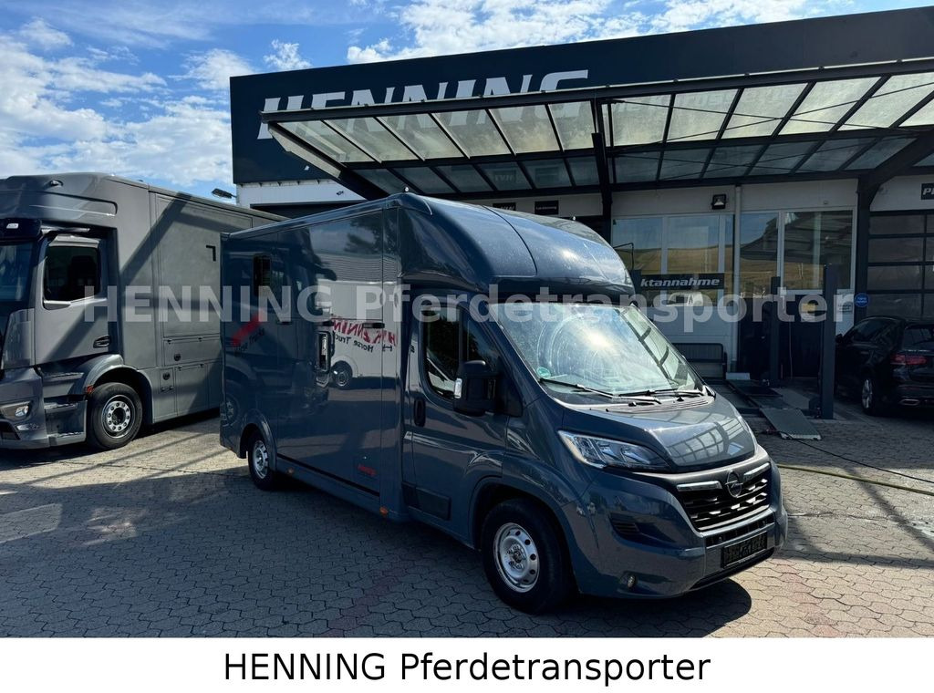 Opel Movano 3 - Sitzer *AUFBAU NEU* - Horse truck: picture 1 Opel Movano 3 - Sitzer *AUFBAU NEU* - Horse truck: picture 1