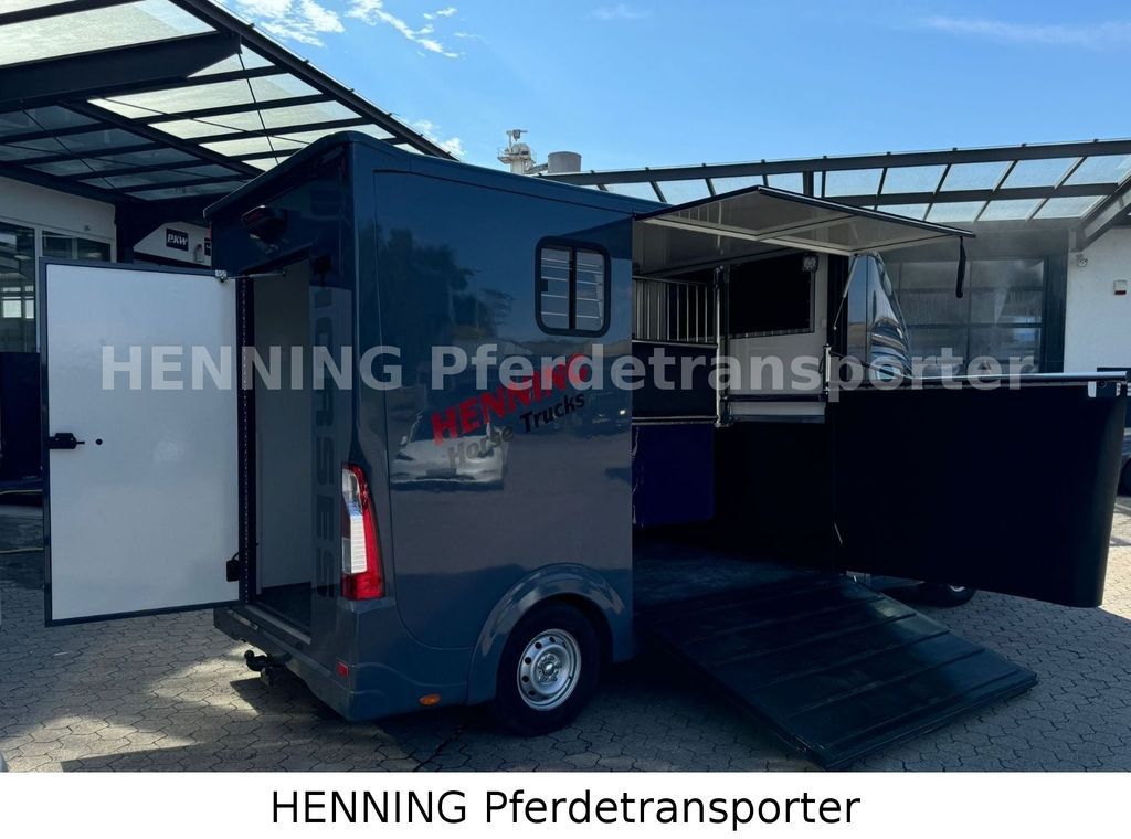 Opel Movano 3 - Sitzer *AUFBAU NEU* - Horse truck: picture 3 Opel Movano 3 - Sitzer *AUFBAU NEU* - Horse truck: picture 3