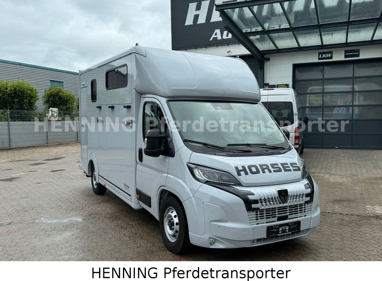 Peugeot Boxer 3 - Sitzer *GROSSE SATTELKAMMER* - Livestock truck: picture 2 Peugeot Boxer 3 - Sitzer *GROSSE SATTELKAMMER* - Livestock truck: picture 2
