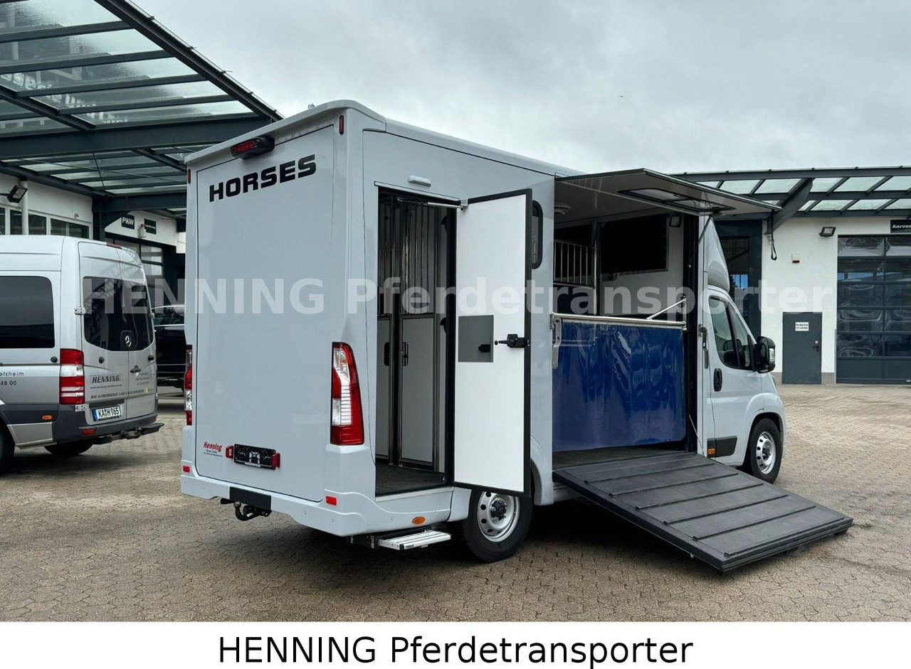 Peugeot Boxer 3 - Sitzer *GROSSE SATTELKAMMER* - Livestock truck: picture 4 Peugeot Boxer 3 - Sitzer *GROSSE SATTELKAMMER* - Livestock truck: picture 4