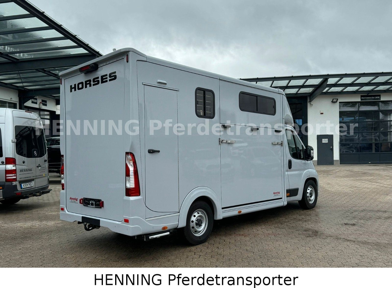 Peugeot Boxer 3 - Sitzer *GROSSE SATTELKAMMER* - Livestock truck: picture 3 Peugeot Boxer 3 - Sitzer *GROSSE SATTELKAMMER* - Livestock truck: picture 3
