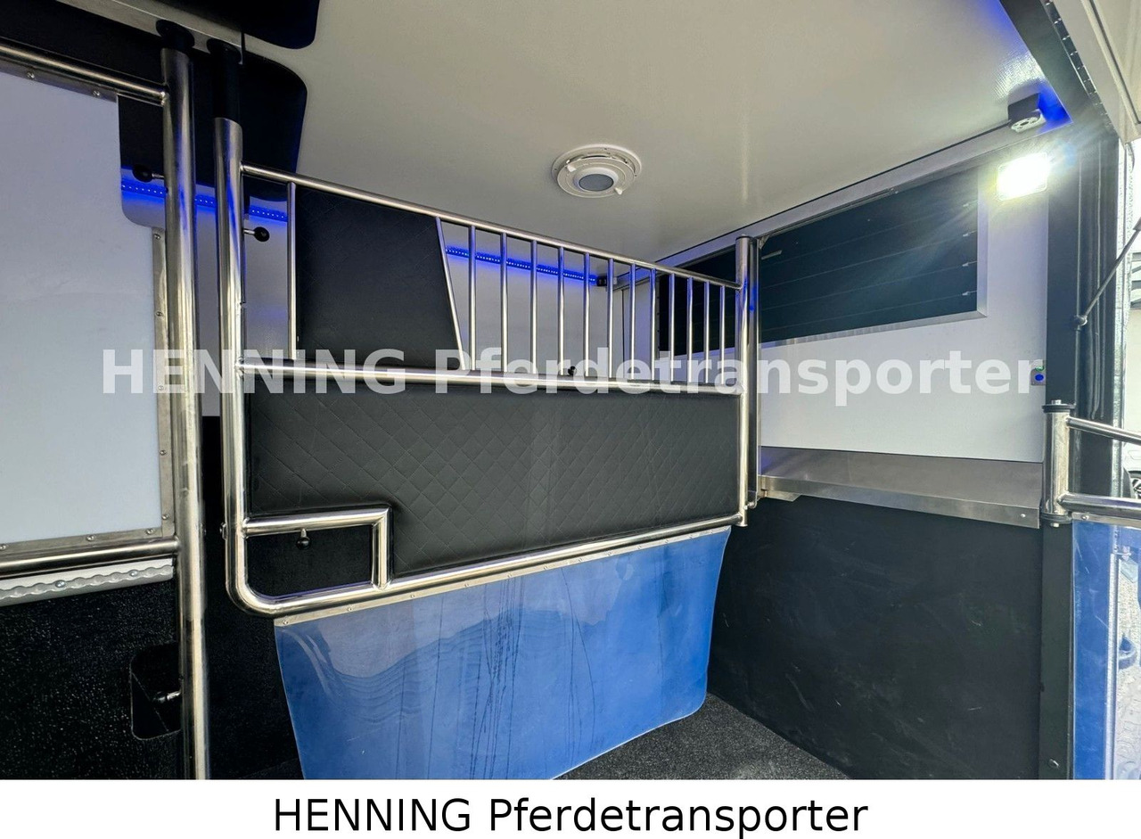 Renault Master 3 - Sitzer *NEUES MODELL* - Livestock truck: picture 5 Renault Master 3 - Sitzer *NEUES MODELL* - Livestock truck: picture 5