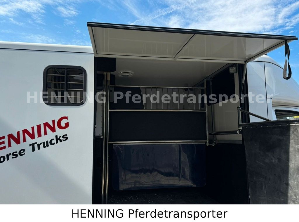 Volkswagen Crafter 3 - Sitzer *AUFBAU NEU* - Horse truck, Commercial vehicle: picture 5 Volkswagen Crafter 3 - Sitzer *AUFBAU NEU* - Horse truck, Commercial vehicle: picture 5