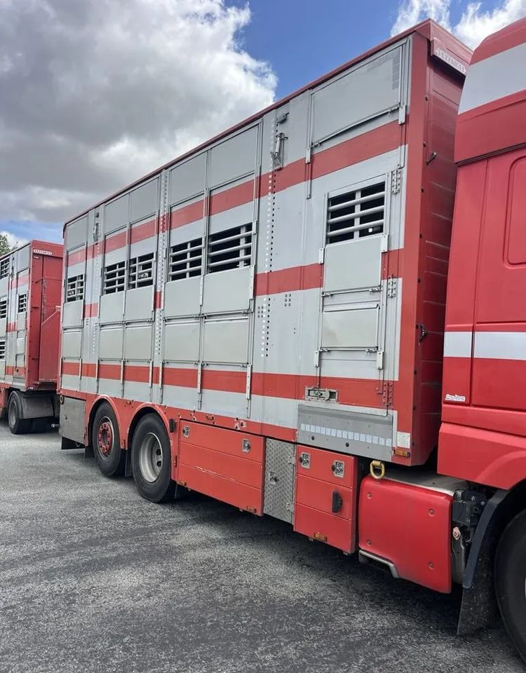 DAF XF 460 + Przyczepa Pezzaoli - 3X Trzoda, 2 X Bydło I 3 poziomy I Podnoszony dach I Hydroburta I Osie Skrętne I Poidła I Wentylatory I Pilot Manualny | Euro5 - Other machinery: picture 5 DAF XF 460 + Przyczepa Pezzaoli - 3X Trzoda, 2 X Bydło I 3 poziomy I Podnoszony dach I Hydroburta I Osie Skrętne I Poidła I Wentylatory I Pilot Manualny | Euro5 - Other machinery: picture 5