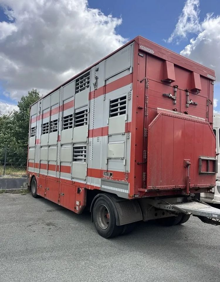 DAF XF 460 + Przyczepa Pezzaoli - 3X Trzoda, 2 X Bydło I 3 poziomy I Podnoszony dach I Hydroburta I Osie Skrętne I Poidła I Wentylatory I Pilot Manualny | Euro5 - Other machinery: picture 3 DAF XF 460 + Przyczepa Pezzaoli - 3X Trzoda, 2 X Bydło I 3 poziomy I Podnoszony dach I Hydroburta I Osie Skrętne I Poidła I Wentylatory I Pilot Manualny | Euro5 - Other machinery: picture 3