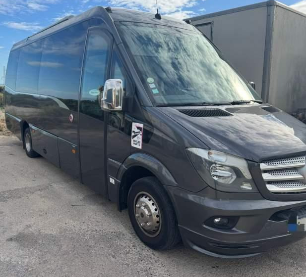 Mercedes-Benz SPICA / SPRINTER 519 / SPROWADZONY / KLIMA / TV - Coach: picture 1 Mercedes-Benz SPICA / SPRINTER 519 / SPROWADZONY / KLIMA / TV - Coach: picture 1