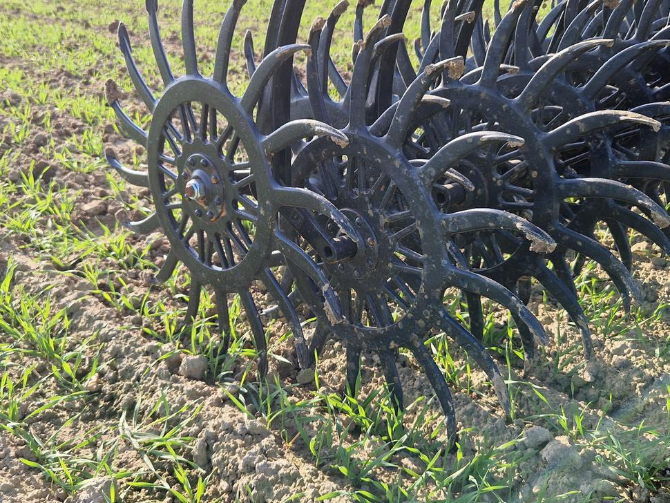 Namysło Rotorstriegel / Rotary hoe / Houe rotative / Ротационная борона / Brona wirnikowa / Pielnik 6,6 m - Cultivator: picture 4 Namysło Rotorstriegel / Rotary hoe / Houe rotative / Ротационная борона / Brona wirnikowa / Pielnik 6,6 m - Cultivator: picture 4