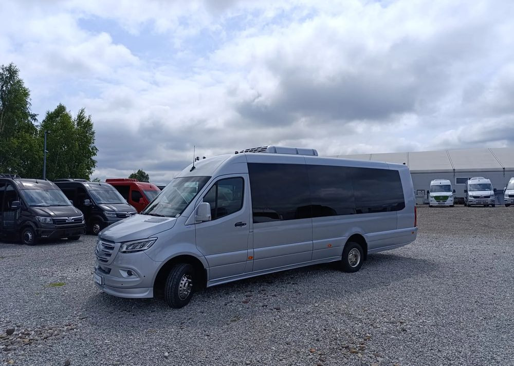 New Minibus, Passenger van Mercedes-Benz Sprinter 519: picture 10
