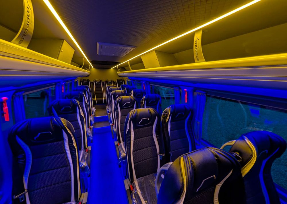 New Minibus, Passenger van Mercedes-Benz Sprinter 519: picture 18