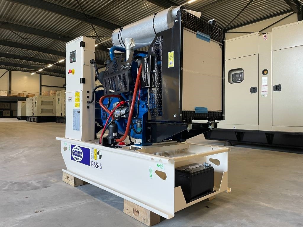 FG Wilson P65-5 - 65 kVA Open Genset - DPX-16006-O - Generator set: picture 5 FG Wilson P65-5 - 65 kVA Open Genset - DPX-16006-O - Generator set: picture 5