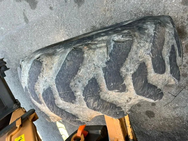 Backhoe loader Case 851EX-SS , 4x4 , Backhoe Loader , 4 in 1 Bucket: picture 16 Backhoe loader Case 851EX-SS , 4x4 , Backhoe Loader , 4 in 1 Bucket: picture 16