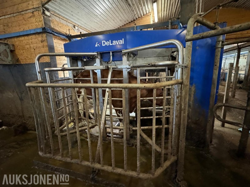 2013 DeLaval VMS melkerobot med 1 kraftfôrstasjon FSC40 - Høyre utgave - Steam - Innredning og grinder foran - Vakuumpumpe - Fortsatt i daglig drift - Agricultural machinery: picture 4 2013 DeLaval VMS melkerobot med 1 kraftfôrstasjon FSC40 - Høyre utgave - Steam - Innredning og grinder foran - Vakuumpumpe - Fortsatt i daglig drift - Agricultural machinery: picture 4