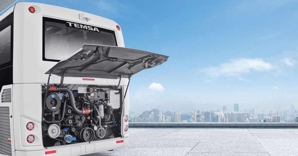 Temsa MD LE - City bus: picture 3 Temsa MD LE - City bus: picture 3