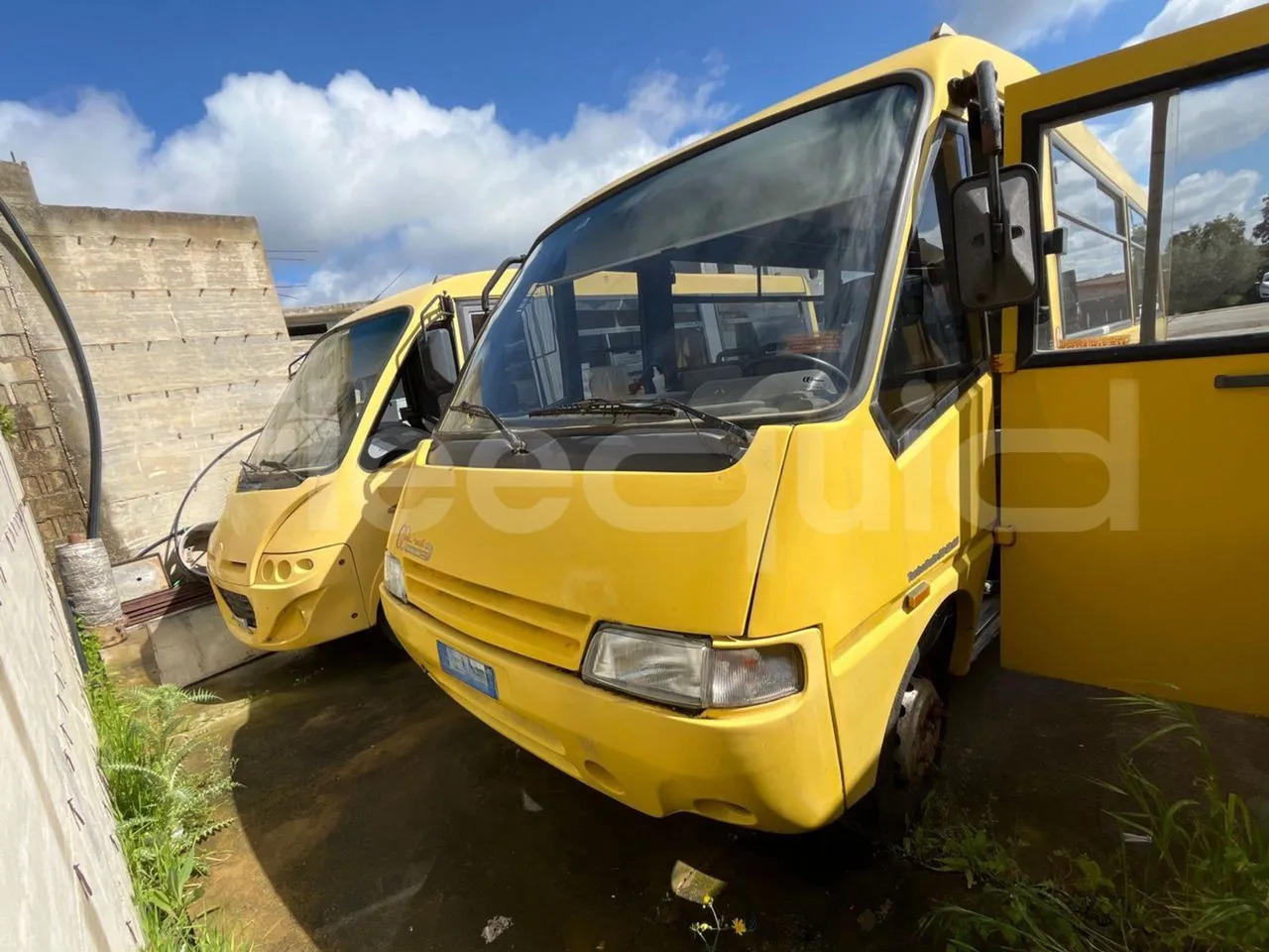 Iveco Cacciamali - School bus: picture 1 Iveco Cacciamali - School bus: picture 1