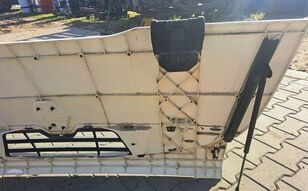 Hood for Truck Renault Midlum: picture 6