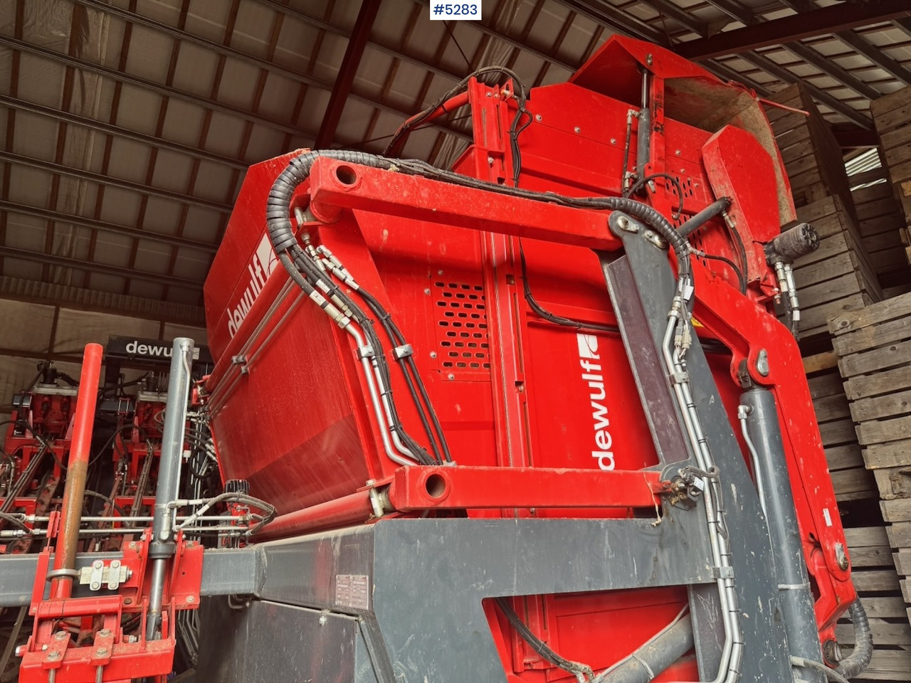 2020 Dewulf GB11 Carrot Harvester. Well equipped. - Other machinery: picture 5 2020 Dewulf GB11 Carrot Harvester. Well equipped. - Other machinery: picture 5