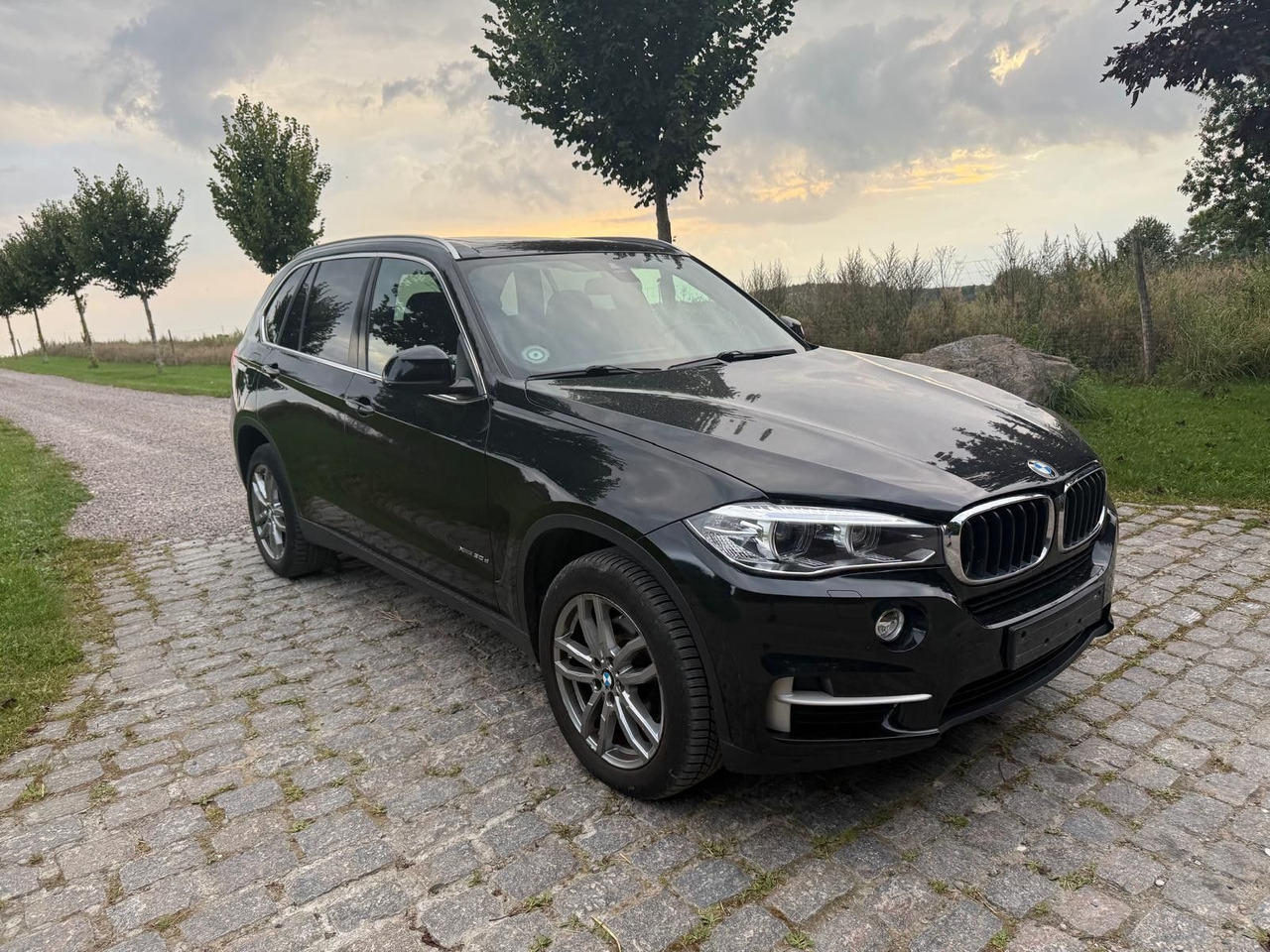 BMW X5 Baureihe X5 xDrive 30 d - SUV: picture 1 BMW X5 Baureihe X5 xDrive 30 d - SUV: picture 1