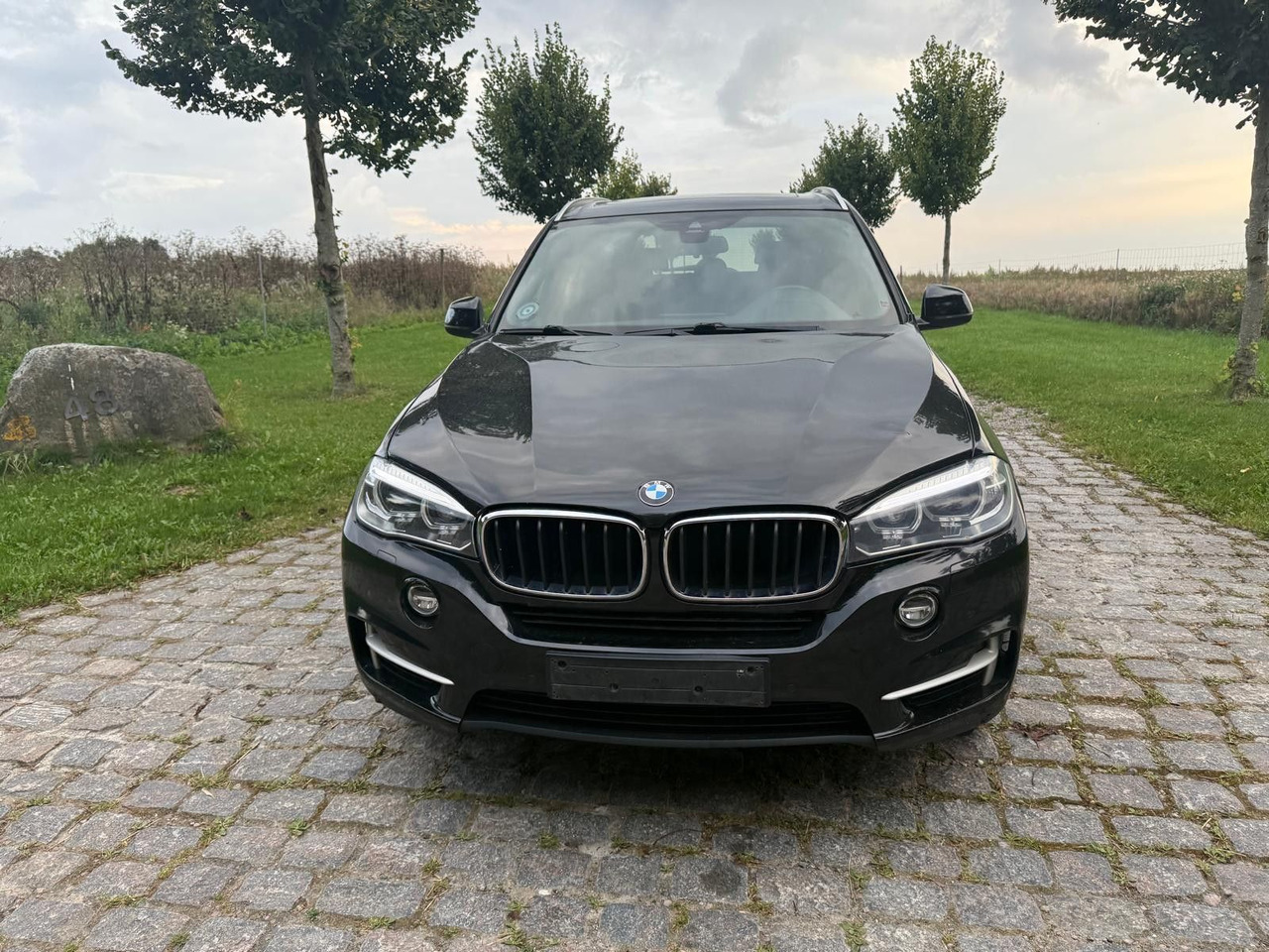 BMW X5 Baureihe X5 xDrive 30 d - SUV: picture 5 BMW X5 Baureihe X5 xDrive 30 d - SUV: picture 5