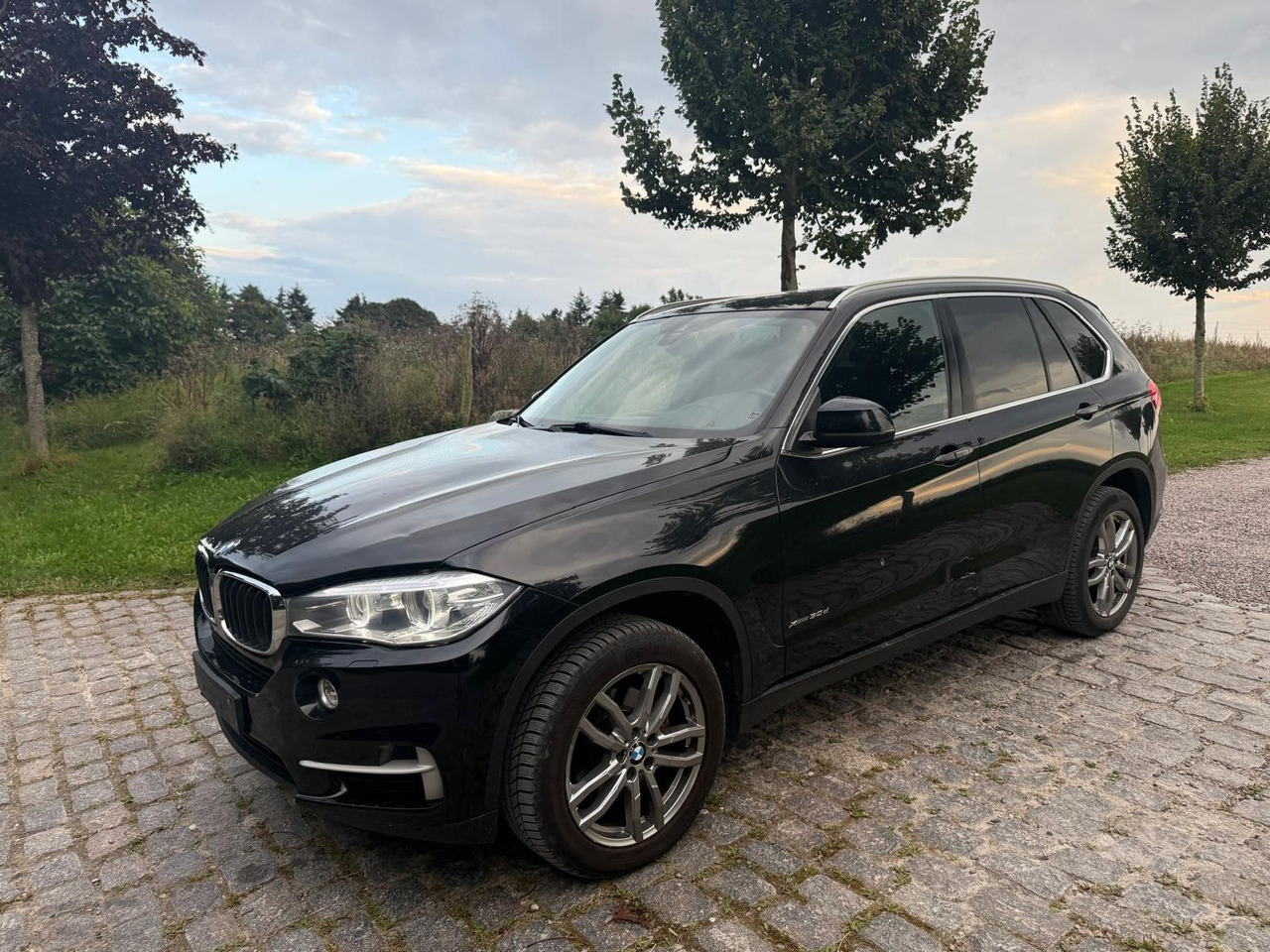 BMW X5 Baureihe X5 xDrive 30 d - SUV: picture 4 BMW X5 Baureihe X5 xDrive 30 d - SUV: picture 4