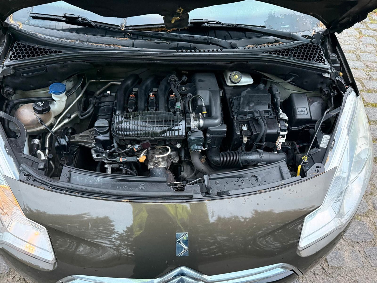 Car Citroën DS3 Sport: picture 13