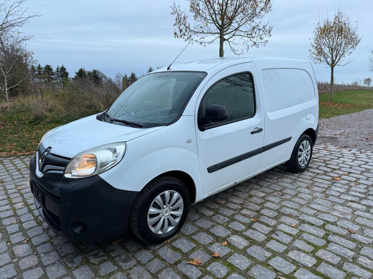 Renault Kangoo Rapid 1.5 dCi Basis *A/C - Small van: picture 2 Renault Kangoo Rapid 1.5 dCi Basis *A/C - Small van: picture 2