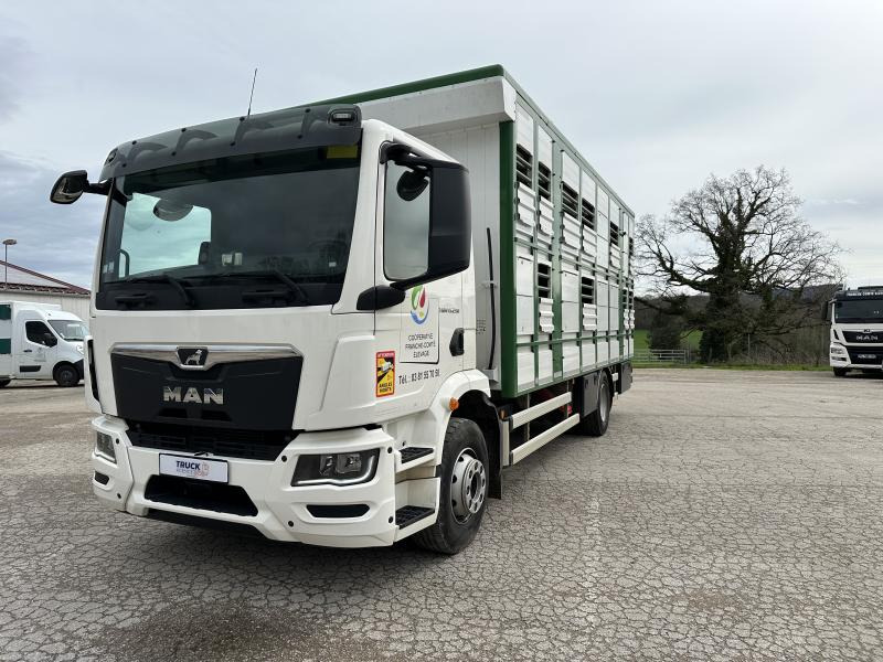 MAN TGM 15.290 - Livestock truck: picture 1 MAN TGM 15.290 - Livestock truck: picture 1