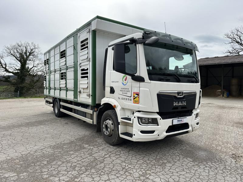 MAN TGM 15.290 - Livestock truck: picture 2 MAN TGM 15.290 - Livestock truck: picture 2