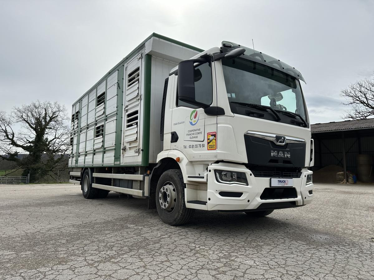 MAN TGM 15.290 - Livestock truck: picture 4 MAN TGM 15.290 - Livestock truck: picture 4