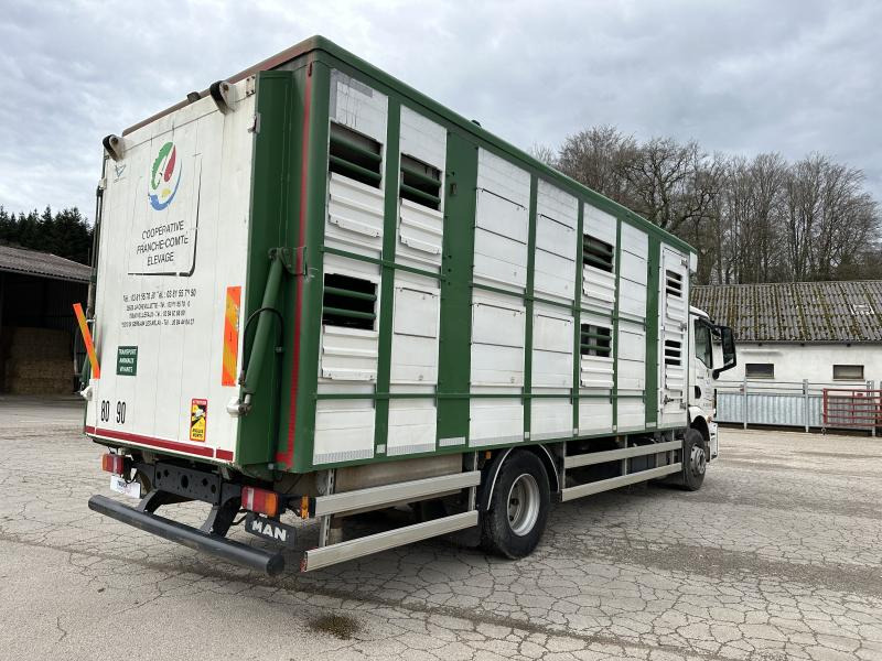 MAN TGM 15.290 - Livestock truck: picture 5 MAN TGM 15.290 - Livestock truck: picture 5