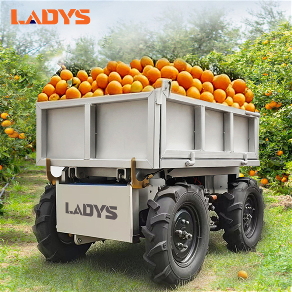 LADYS Electric Remote Control Transporter Agricultural Orchard Farm Electric Utv Material Handling Equipment All Terrain Transport Vehicle - Side-by-side/ ATV: picture 1 LADYS Electric Remote Control Transporter Agricultural Orchard Farm Electric Utv Material Handling Equipment All Terrain Transport Vehicle - Side-by-side/ ATV: picture 1