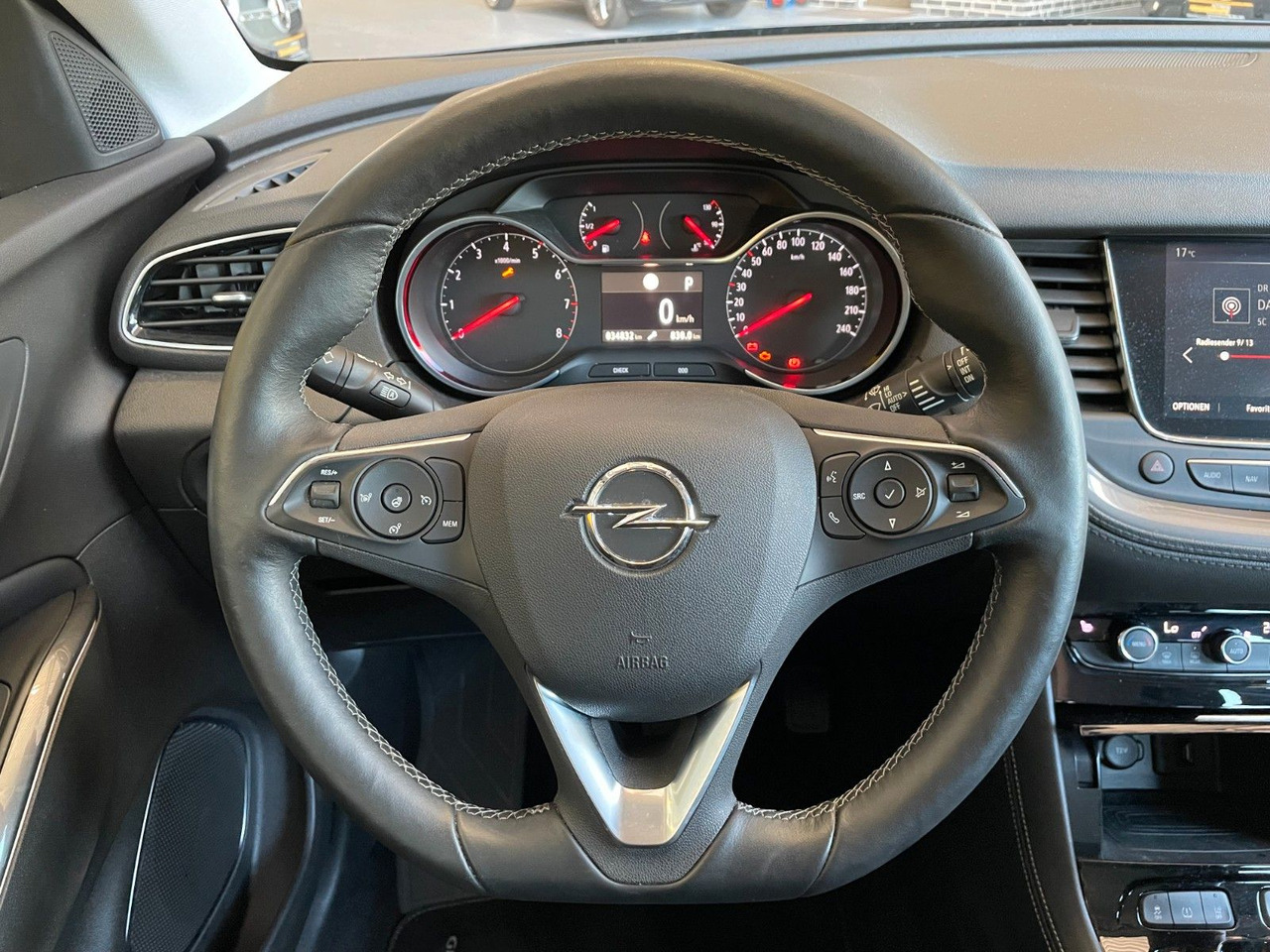 SUV Opel Grandland (X) Elegance Kamera Sitz- & Lenkradhzg: picture 15