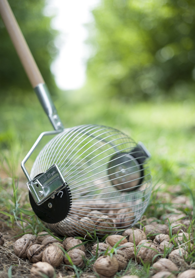 ROLL-IN Roll-in Medium - Garden equipment: picture 1 ROLL-IN Roll-in Medium - Garden equipment: picture 1