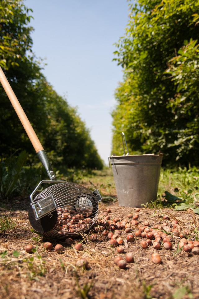 ROLL-IN Roll-in Small - Garden equipment: picture 1 ROLL-IN Roll-in Small - Garden equipment: picture 1