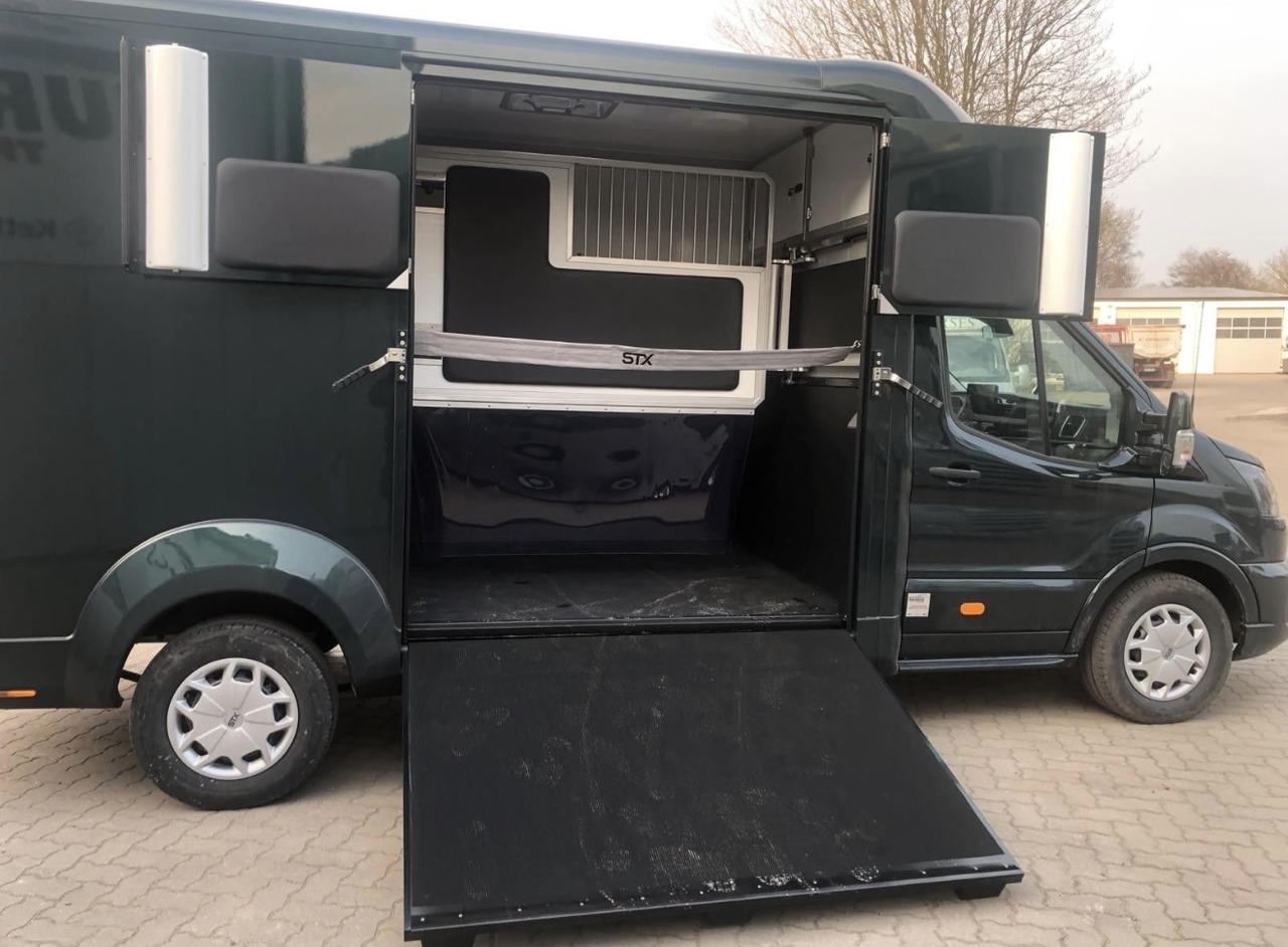Ford Transit - Horse truck: picture 3 Ford Transit - Horse truck: picture 3