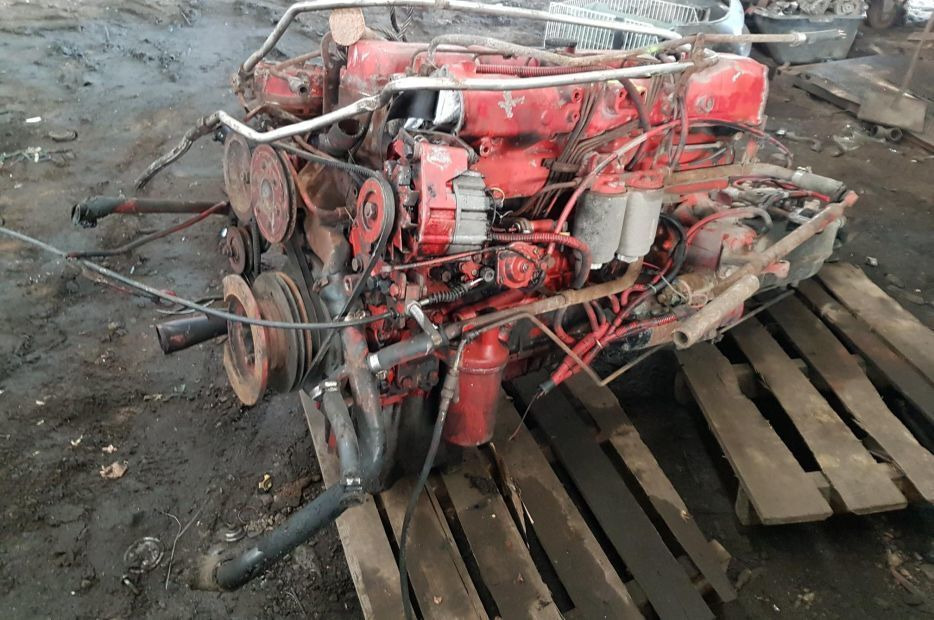 MAN D0226 MKF/170 Van Hool T8-Series - Engine for Truck: picture 4 MAN D0226 MKF/170 Van Hool T8-Series - Engine for Truck: picture 4